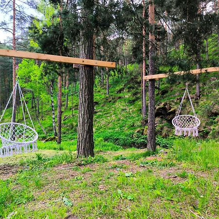 Vila Pogled Wellness I Spa Divčibare Kültér fotó